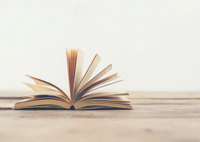 Lectura rápida